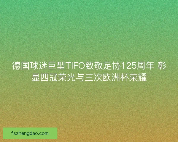 德国球迷巨型TIFO致敬足协125周年 彰显四冠荣光与三次欧洲杯荣耀