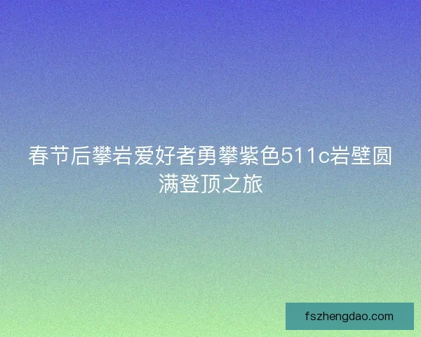 春节后攀岩爱好者勇攀紫色511c岩壁圆满登顶之旅