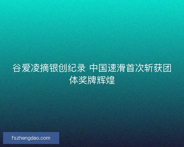 谷爱凌摘银创纪录 中国速滑首次斩获团体奖牌辉煌