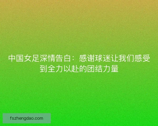 中国女足深情告白：感谢球迷让我们感受到全力以赴的团结力量